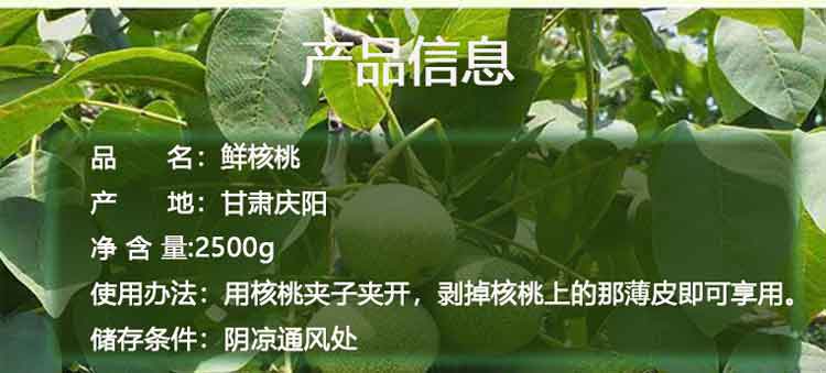 xiang22-750.jpg