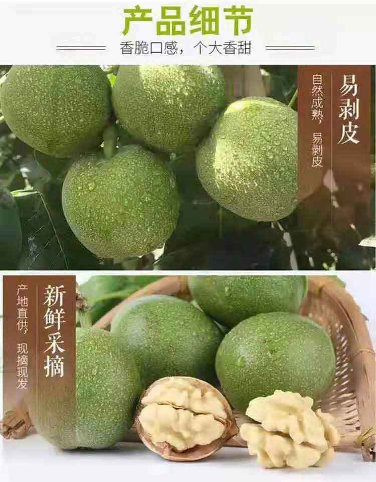 详2-750.jpg