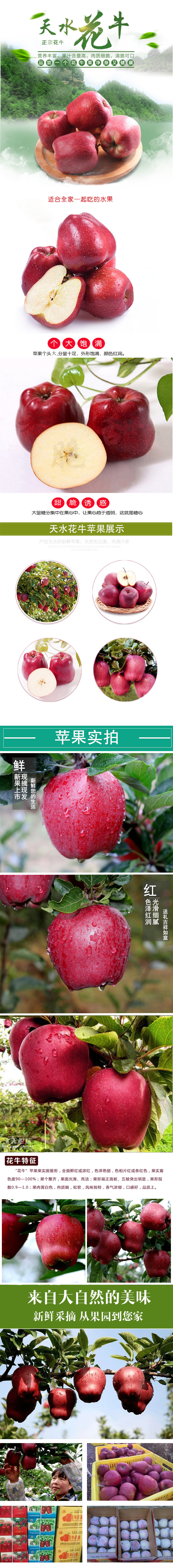 详情页.jpg