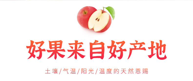 静宁苹果详情页1_06.jpg