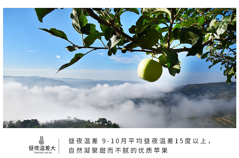静宁苹果详情页1_08.jpg