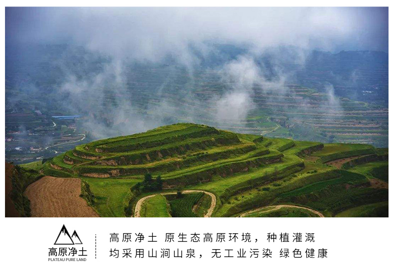 静宁苹果详情页1_10.jpg