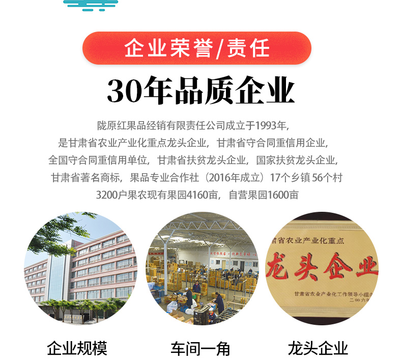 静宁苹果详情页1_12.jpg