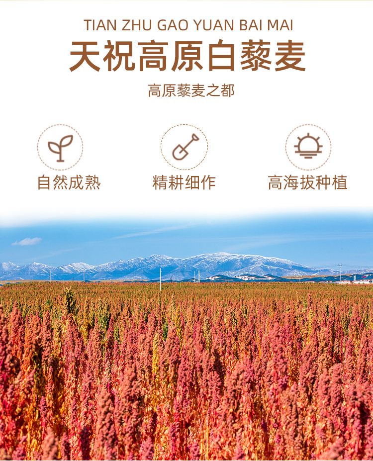 白藜麦详情_04.jpg