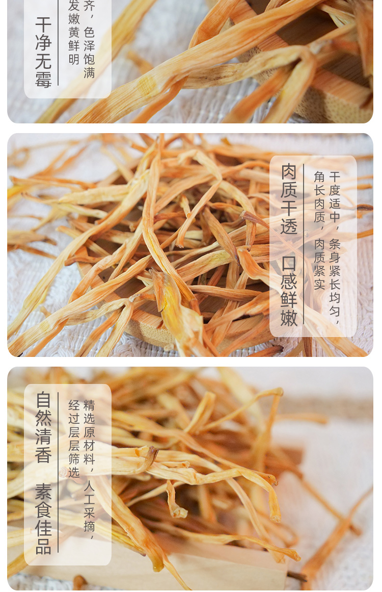 黄花菜_05.jpg