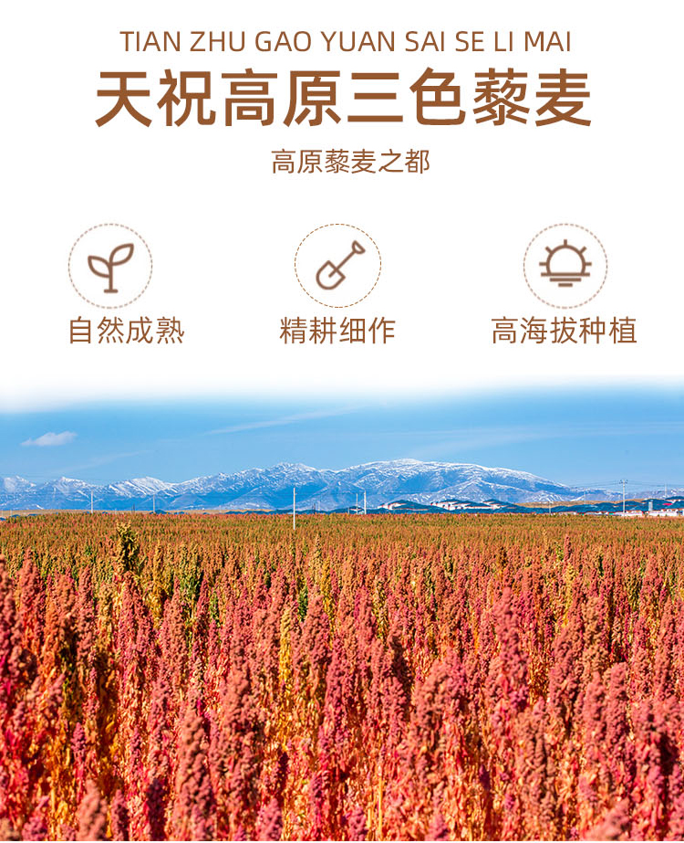 三色藜麦详细页_04.jpg