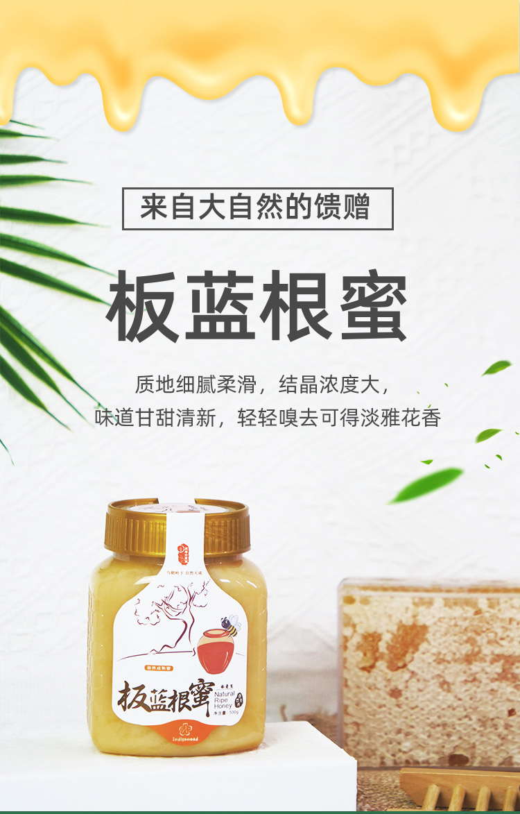 板蓝根蜜_01.jpg