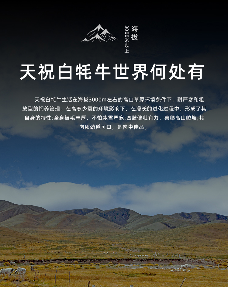 牛排骨详情_05.jpg