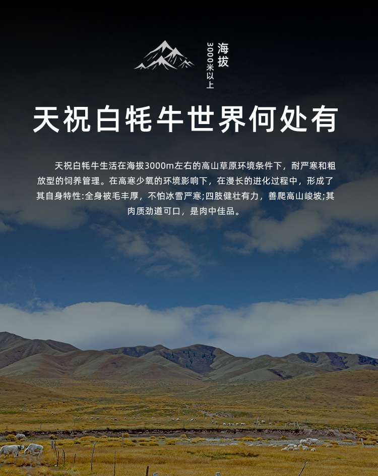 牛腩详情_05.jpg