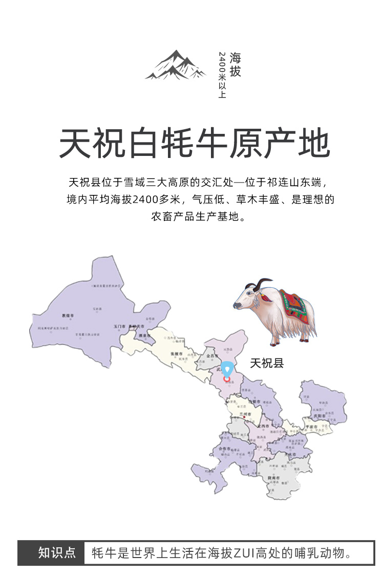 牛腿肉详情_01.jpg