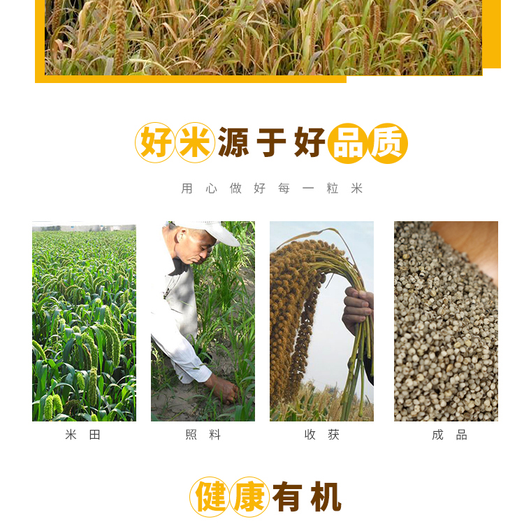黑小米袋装_05.jpg