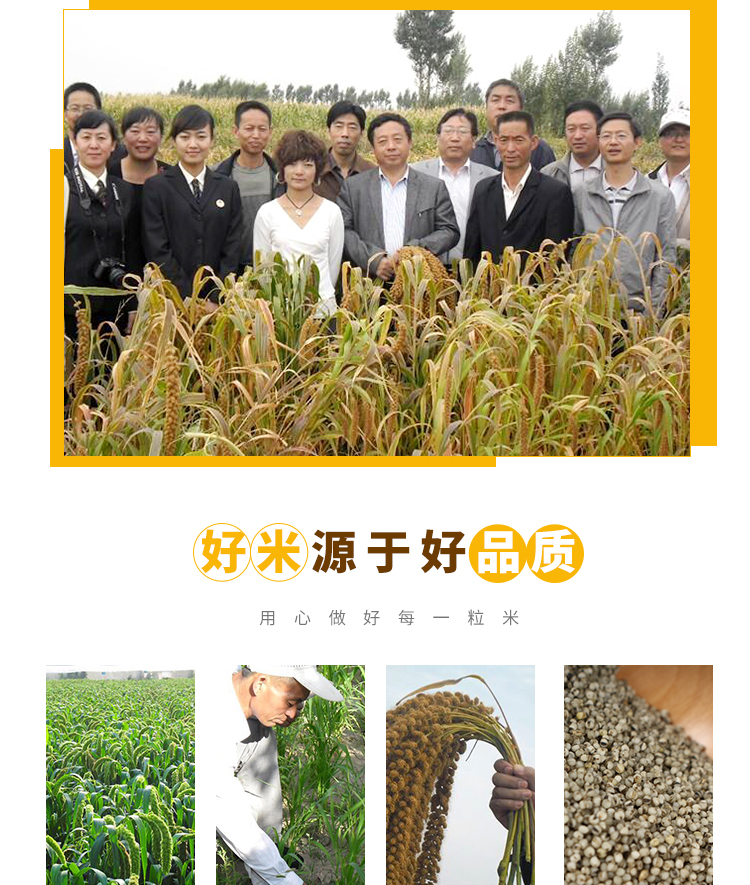 黑小米新包装_04.jpg
