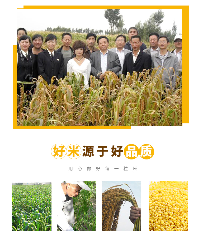 黄小米盒装2_04.jpg