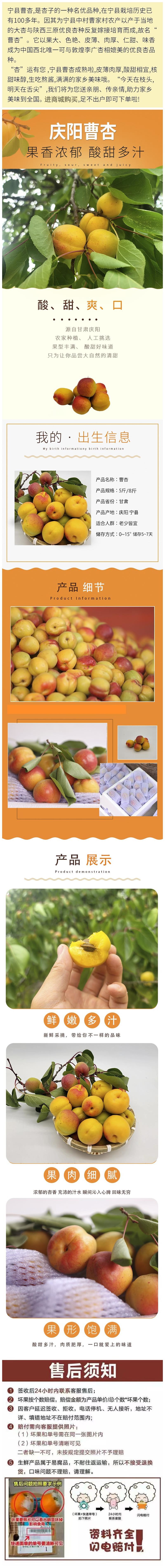 详情图.jpg