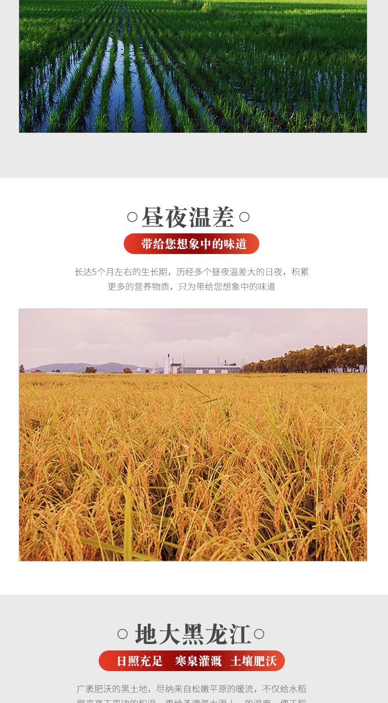 详情-05.jpg
