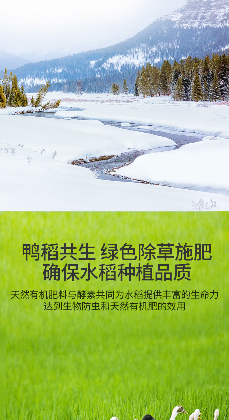 详情-06.jpg
