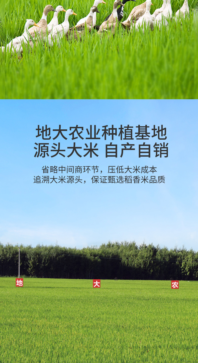 详情-07.jpg