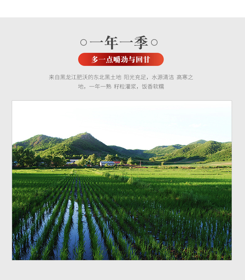 详情-06.jpg