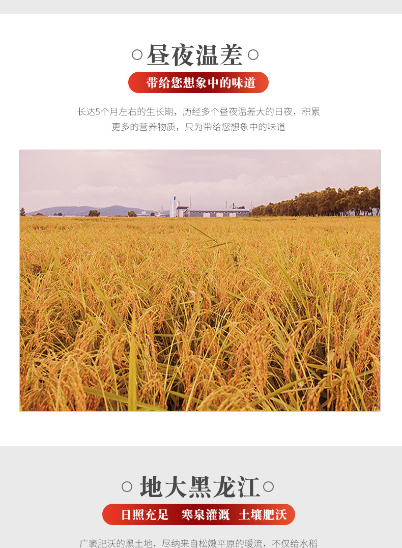 详情-07.jpg