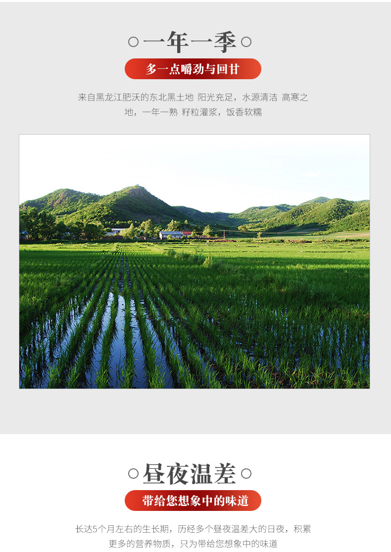 详情-05.jpg
