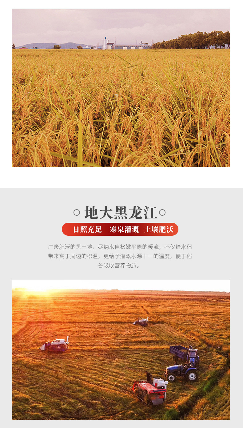 详情-06.jpg