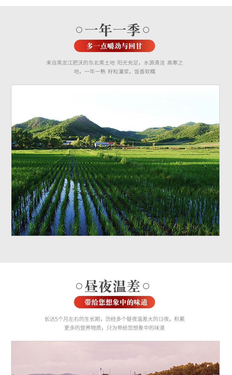 详情-05.jpg