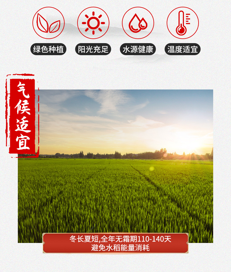 详情-11.jpg
