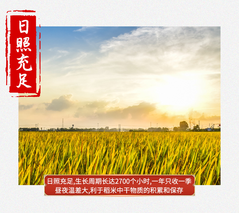 详情-12.jpg