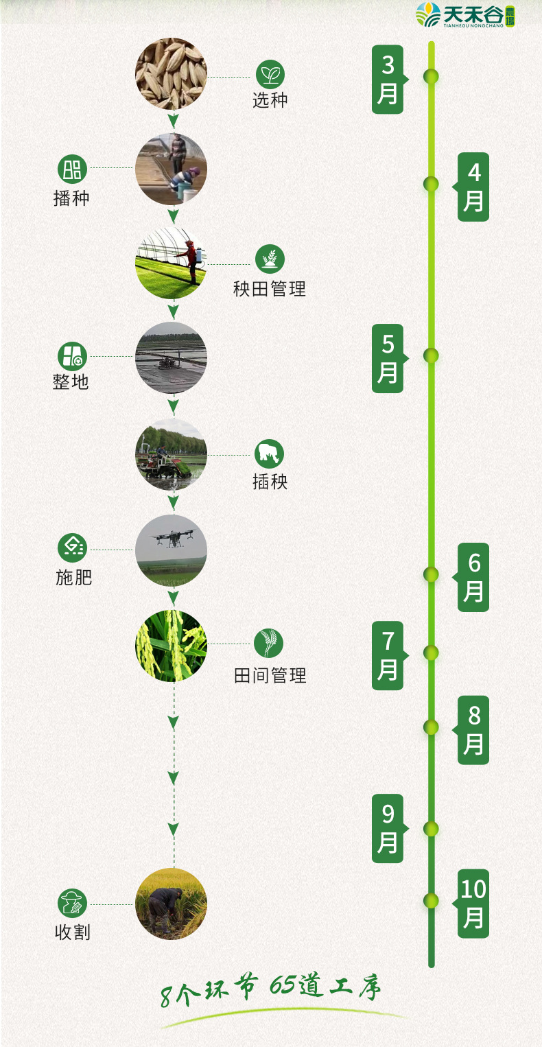 详情-10.jpg
