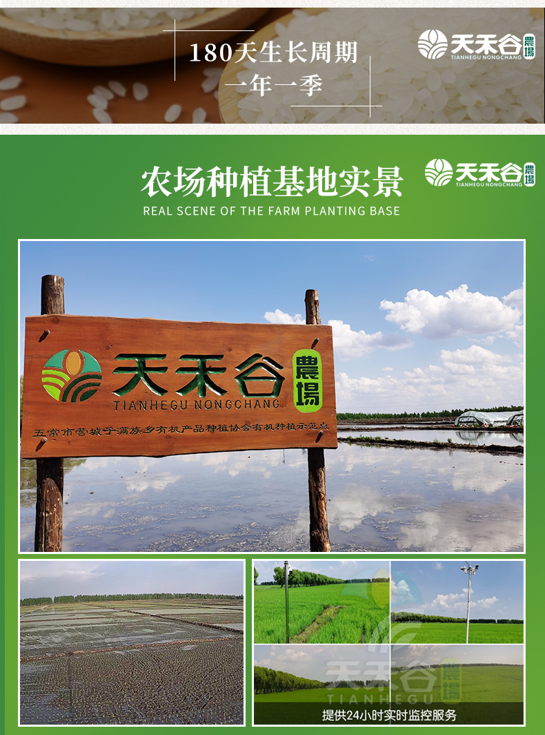 详情-11.jpg