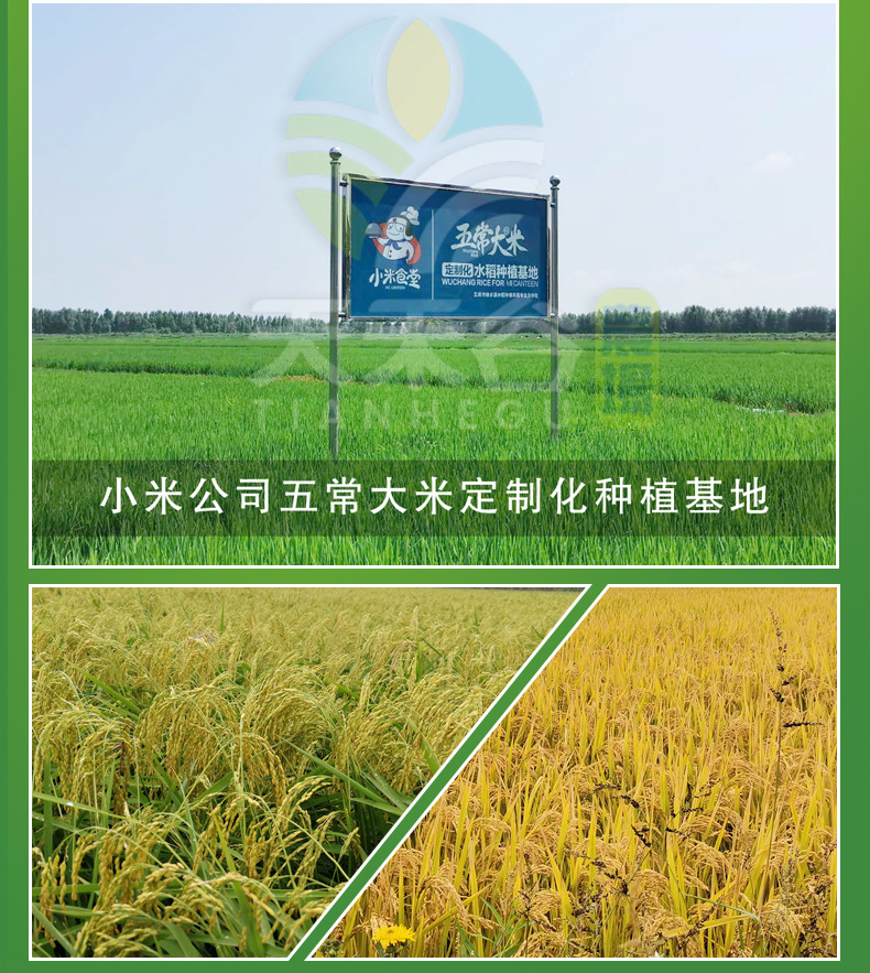 详情-12.jpg