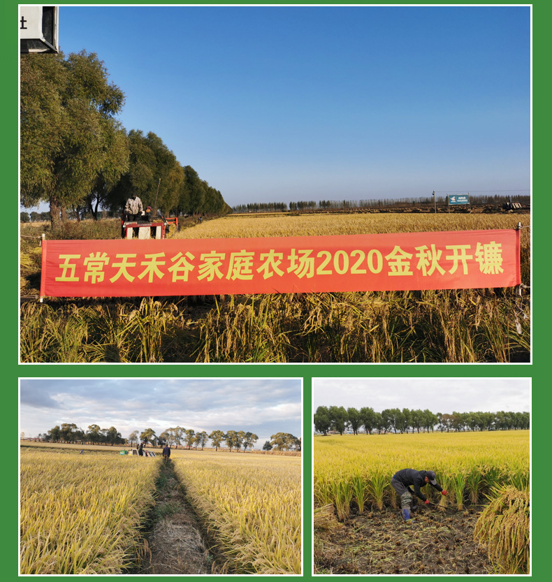 详情-13.jpg