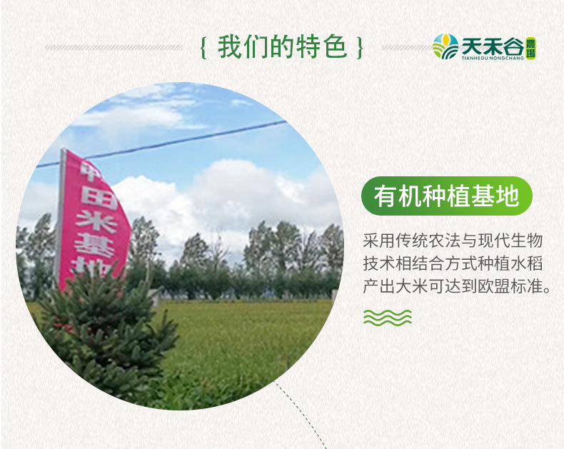 详情-17.jpg