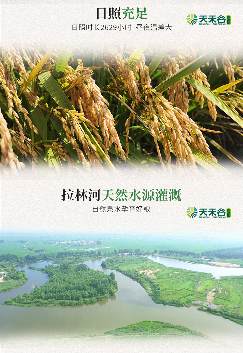 详情-09.jpg