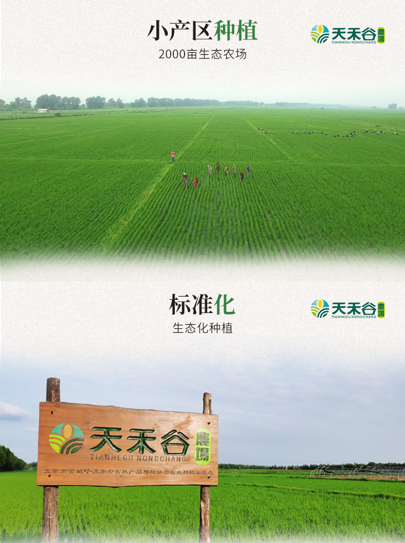 详情-10.jpg