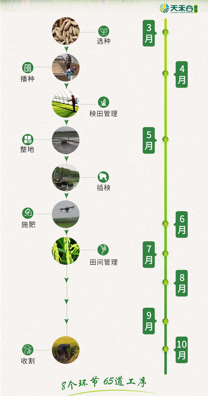 详情-11.jpg