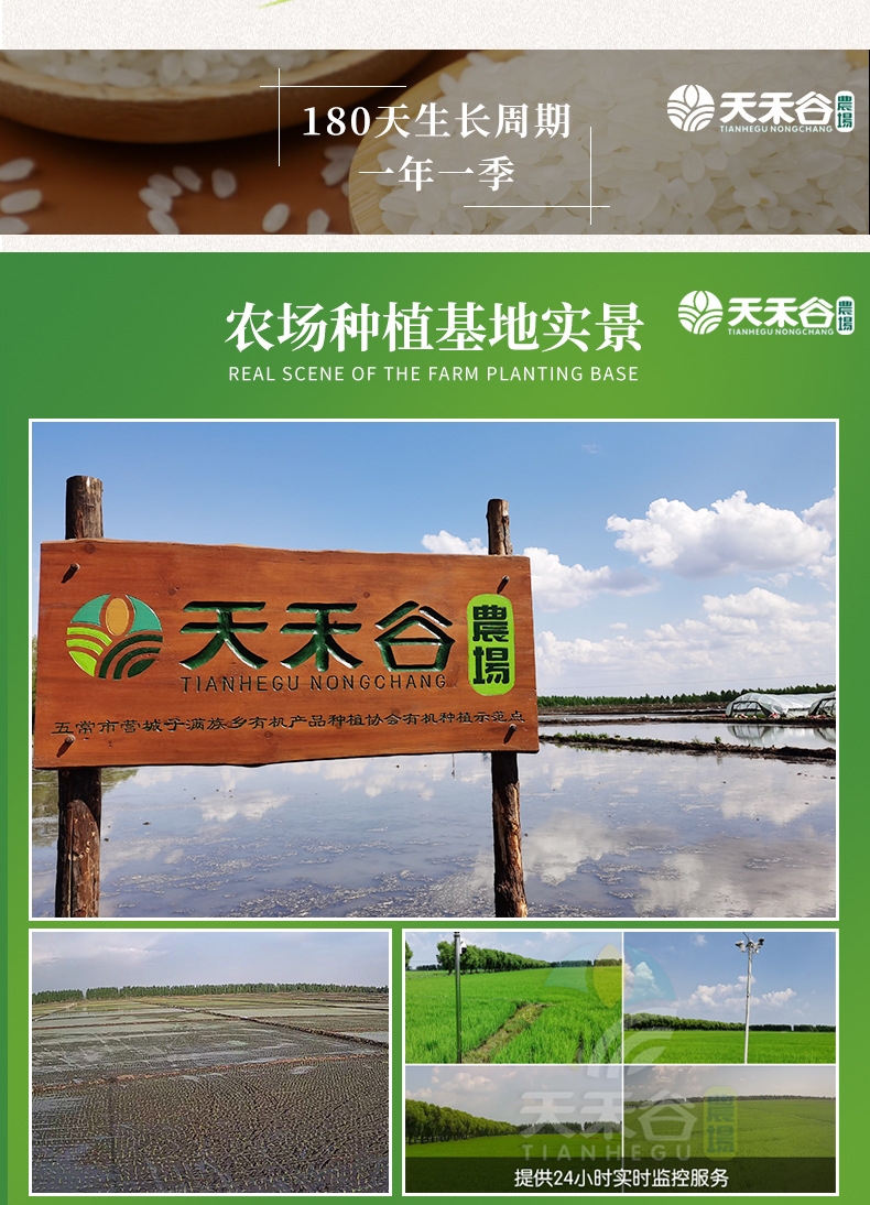 详情-12.jpg