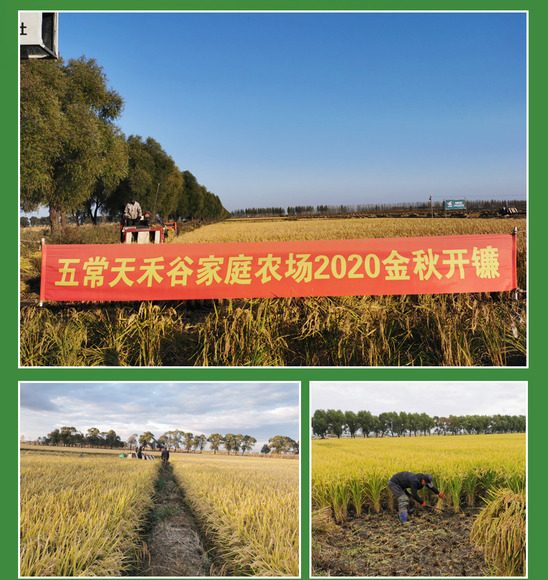 详情-14.jpg