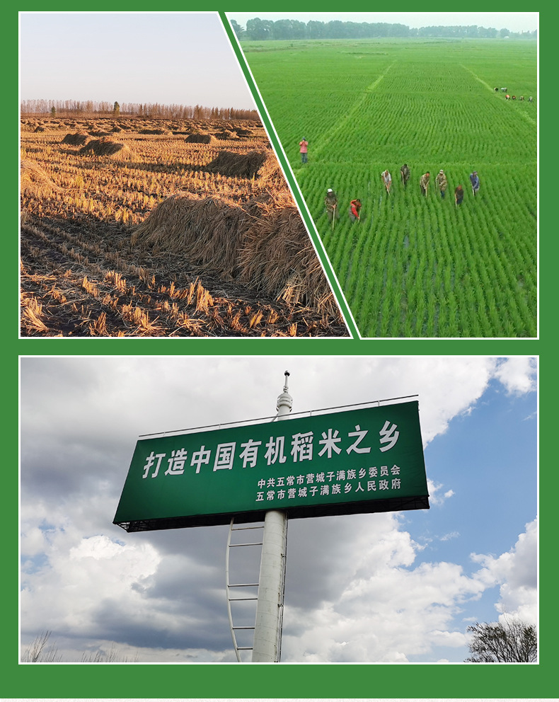 详情-15.jpg
