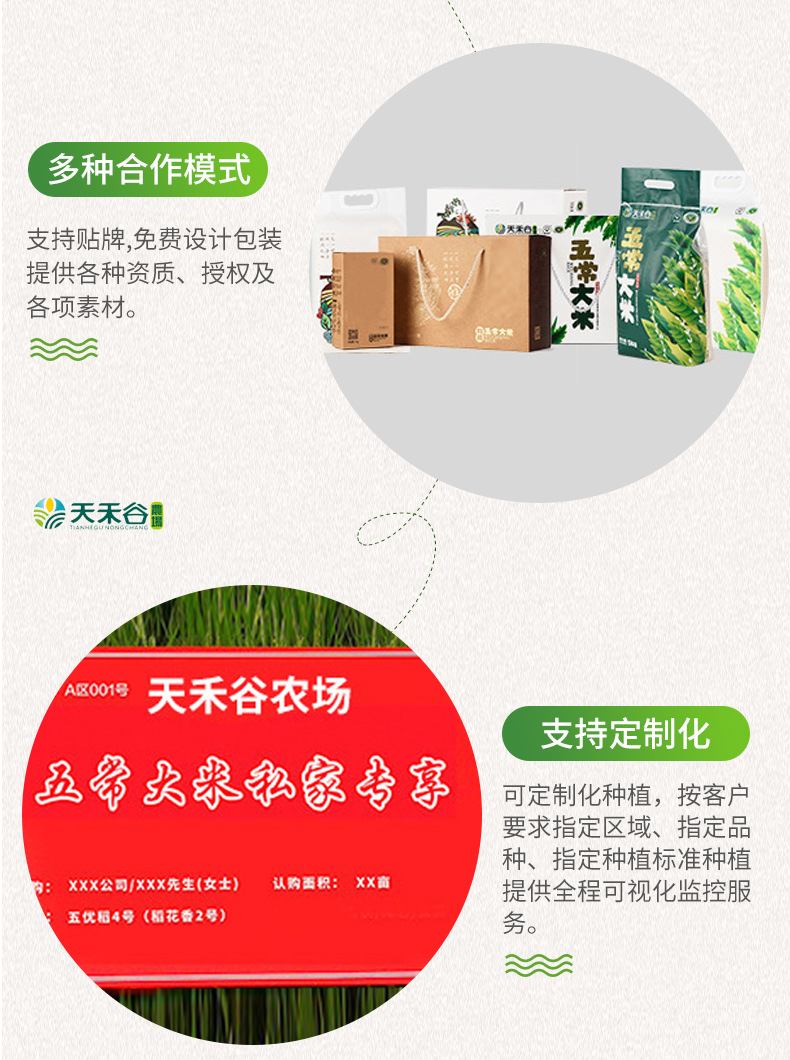 详情-18.jpg