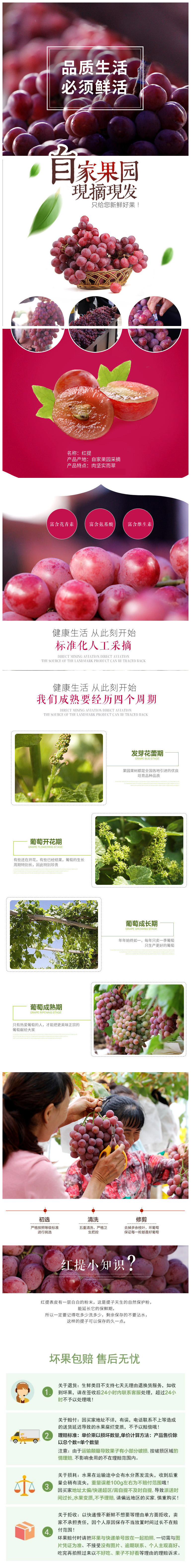 红提.jpg