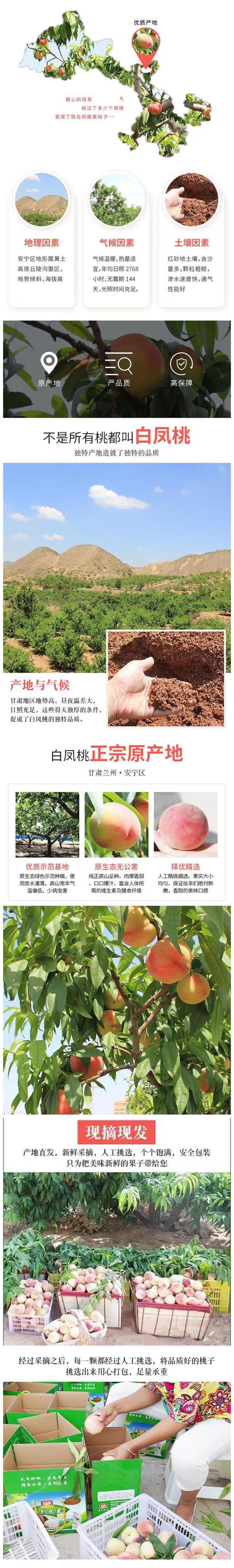 详情1.jpg