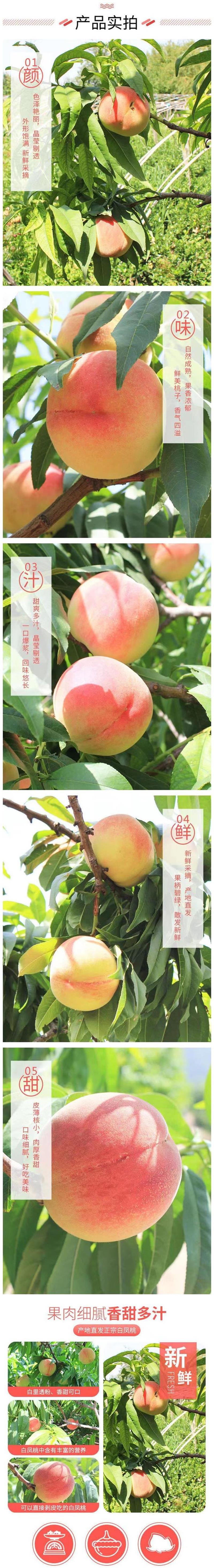 详情2.jpg