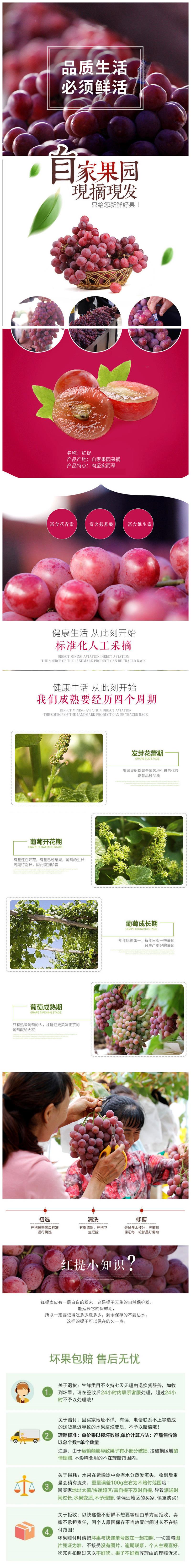 红提详情页.jpg