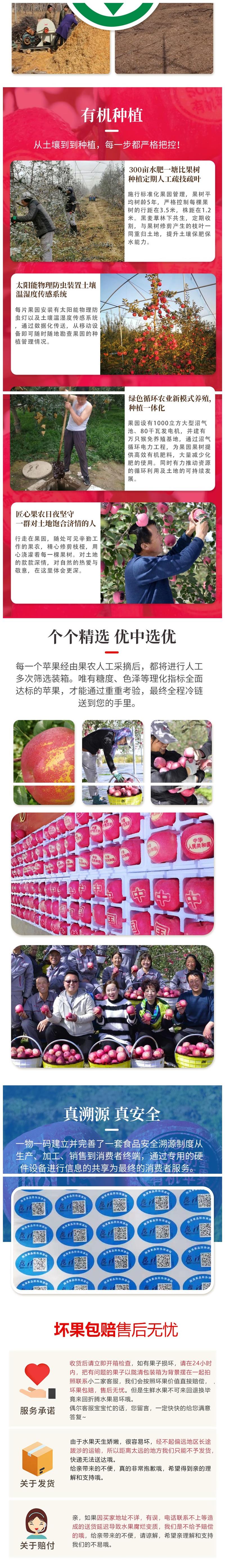 光果2_副本.jpg