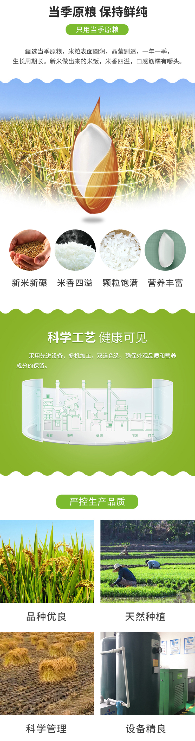珍品10kg_02.jpg