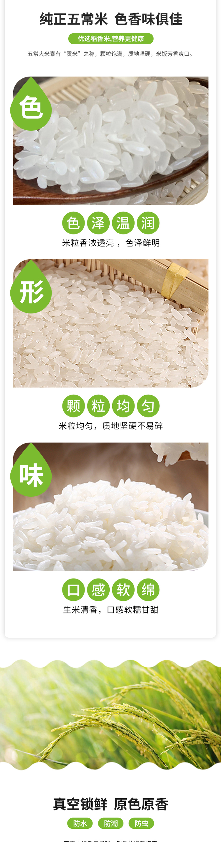 珍品10kg_03.jpg