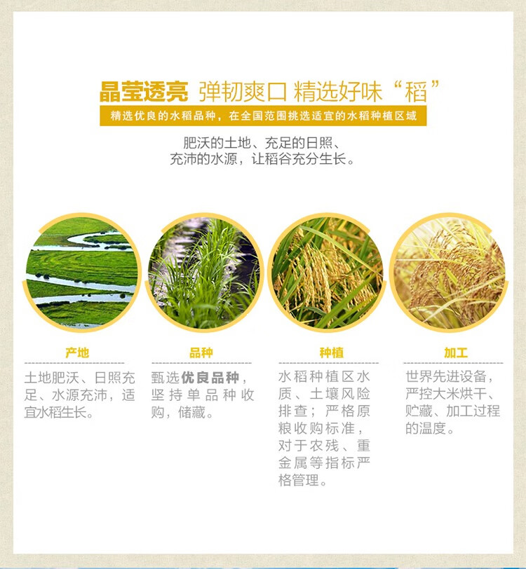 详情3.jpg