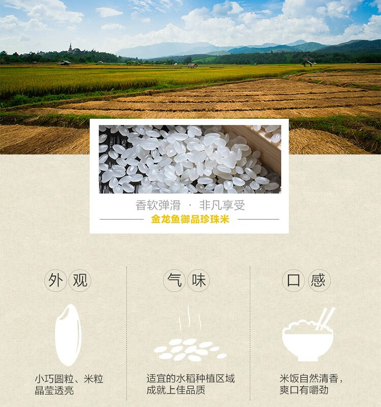 详情4.jpg