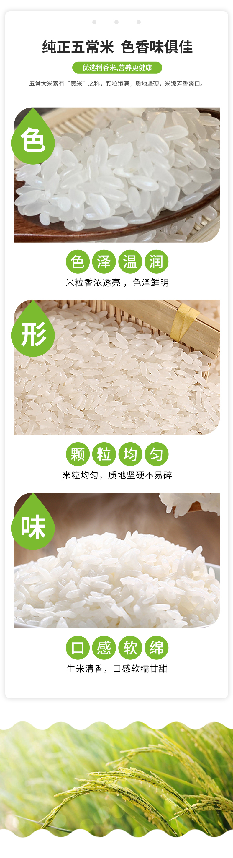 珍品5kg_02_01.jpg